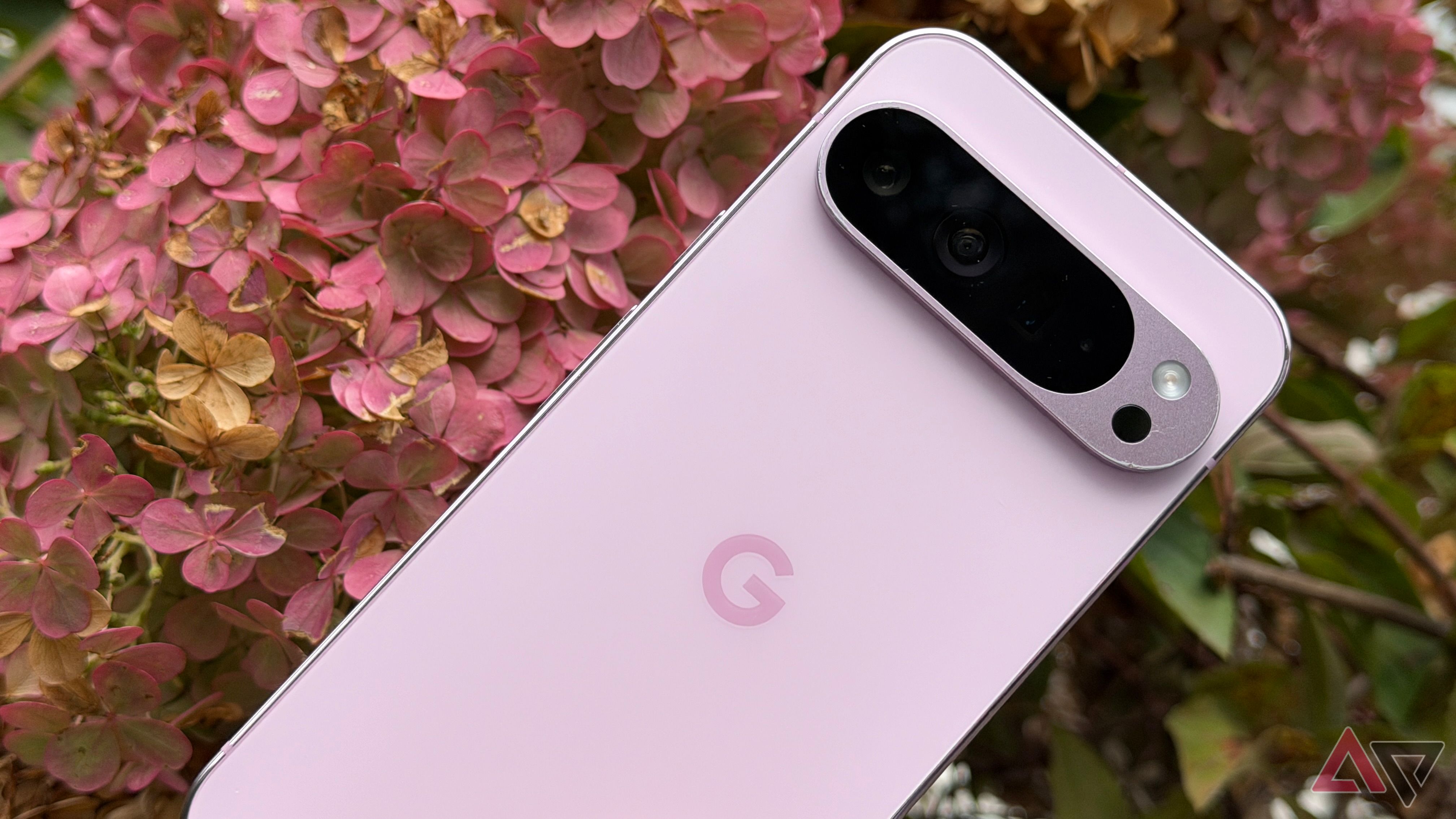 Google Pixel 9 Pro XL contra flores rosa