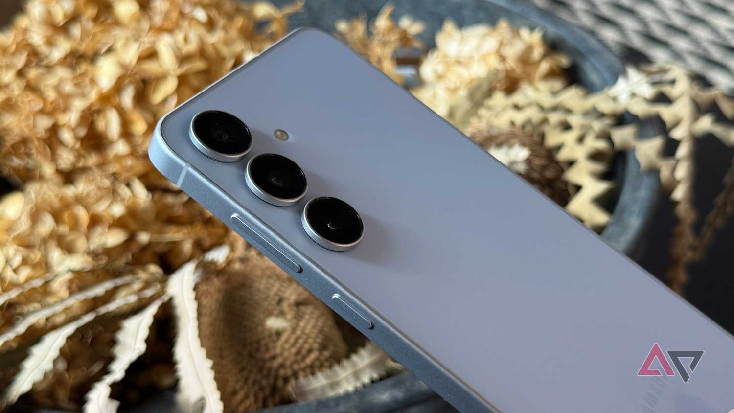 Samsung Galaxy S25 FE in Icyblue with plant in background