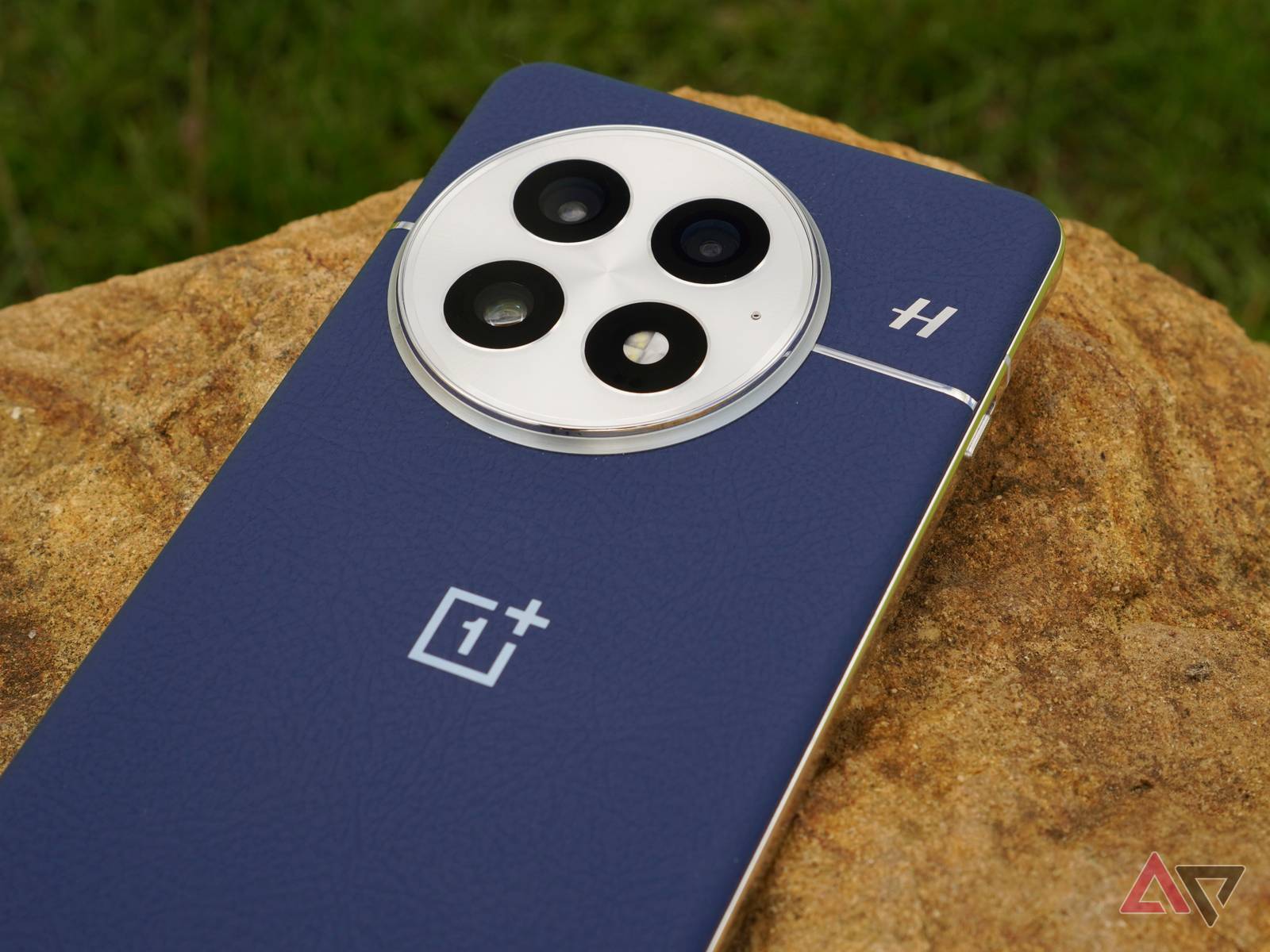 oneplus-13-camera-module.JPG?w