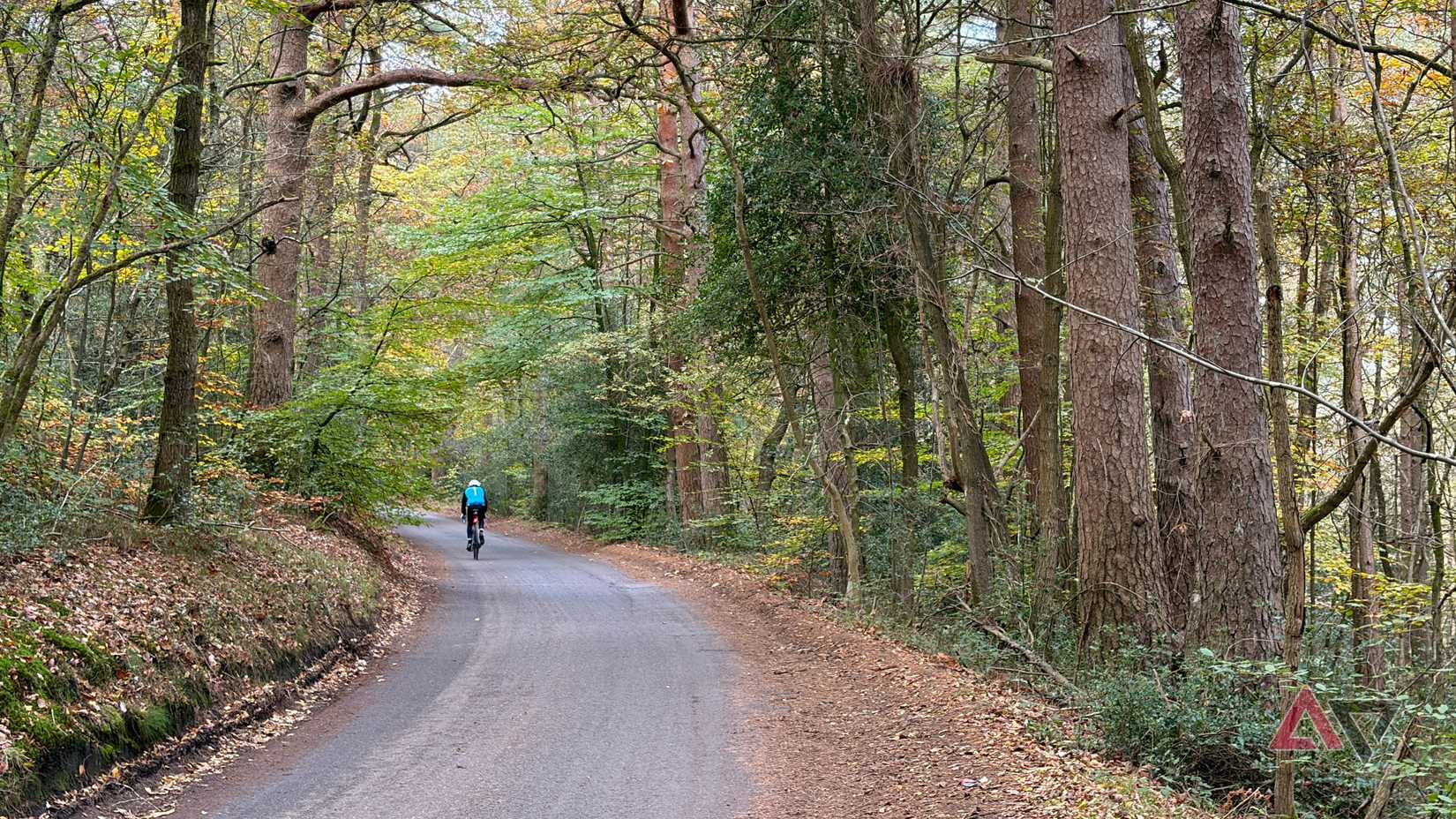 An example of a road Google Maps likes to use