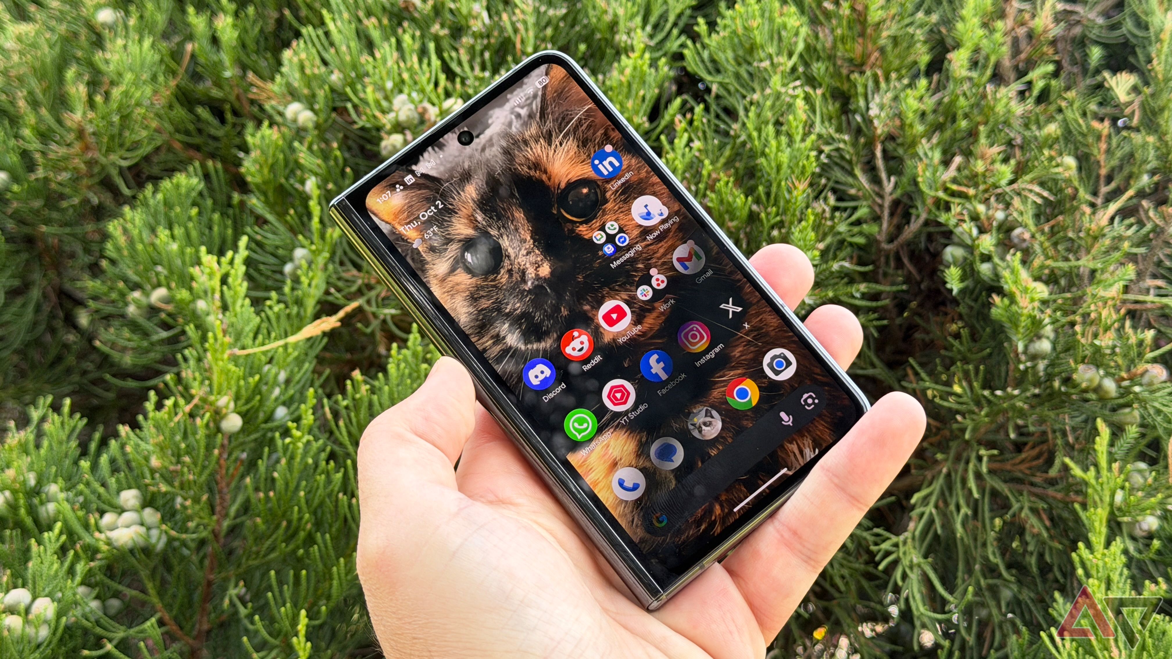 Google phone with cat background