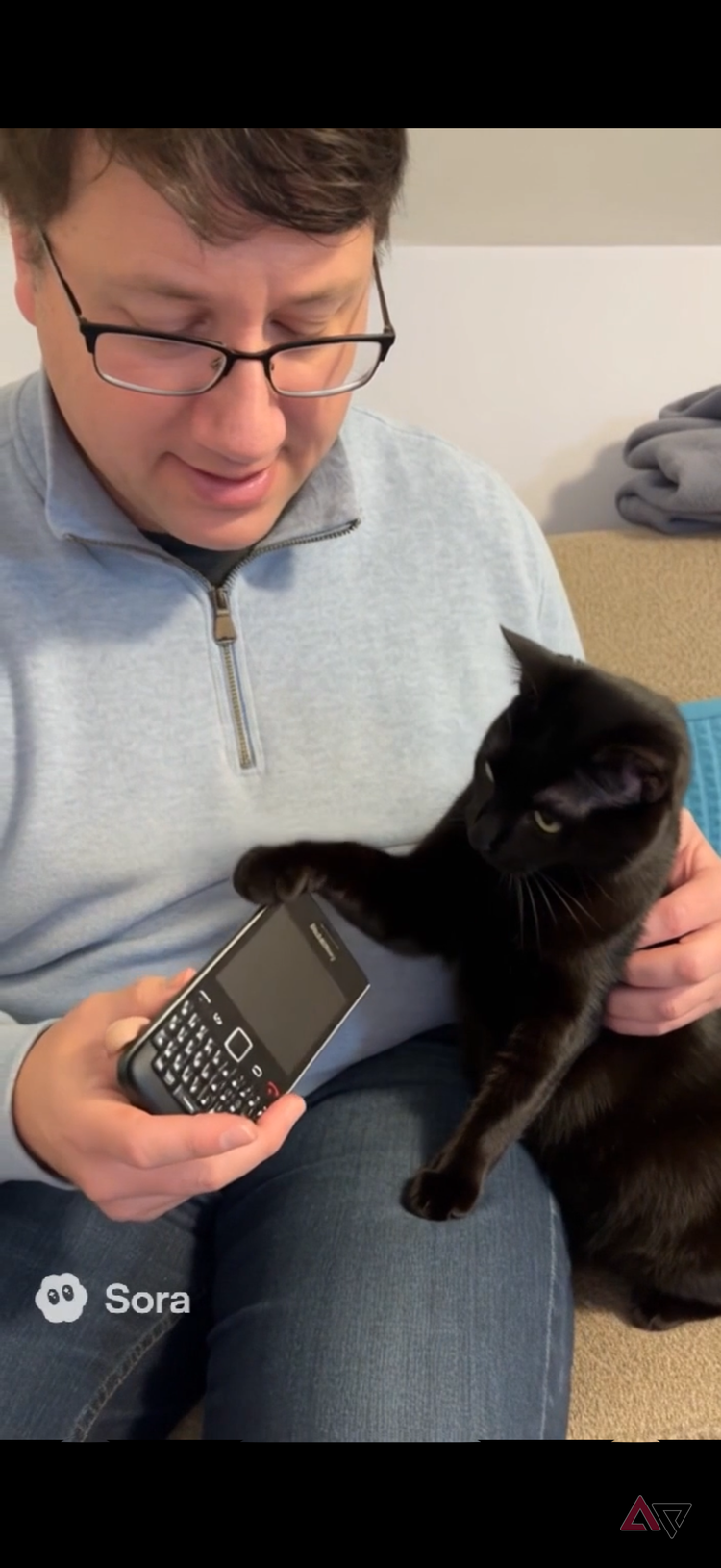 Black cat being shown how to use a BlackBerry through the Sora app