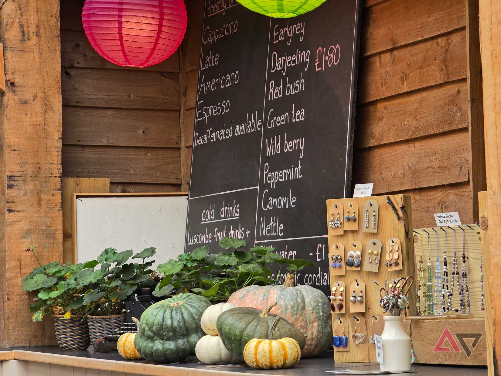 A photo taken with the Samsung Galaxy S24 Ultra at 10x zoom