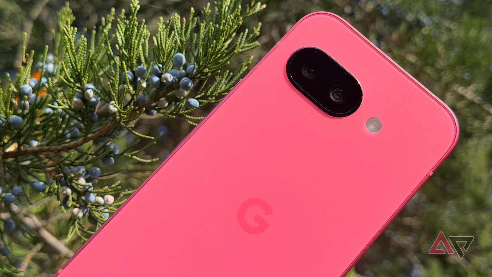 Google Pixel 9a against juniper berries