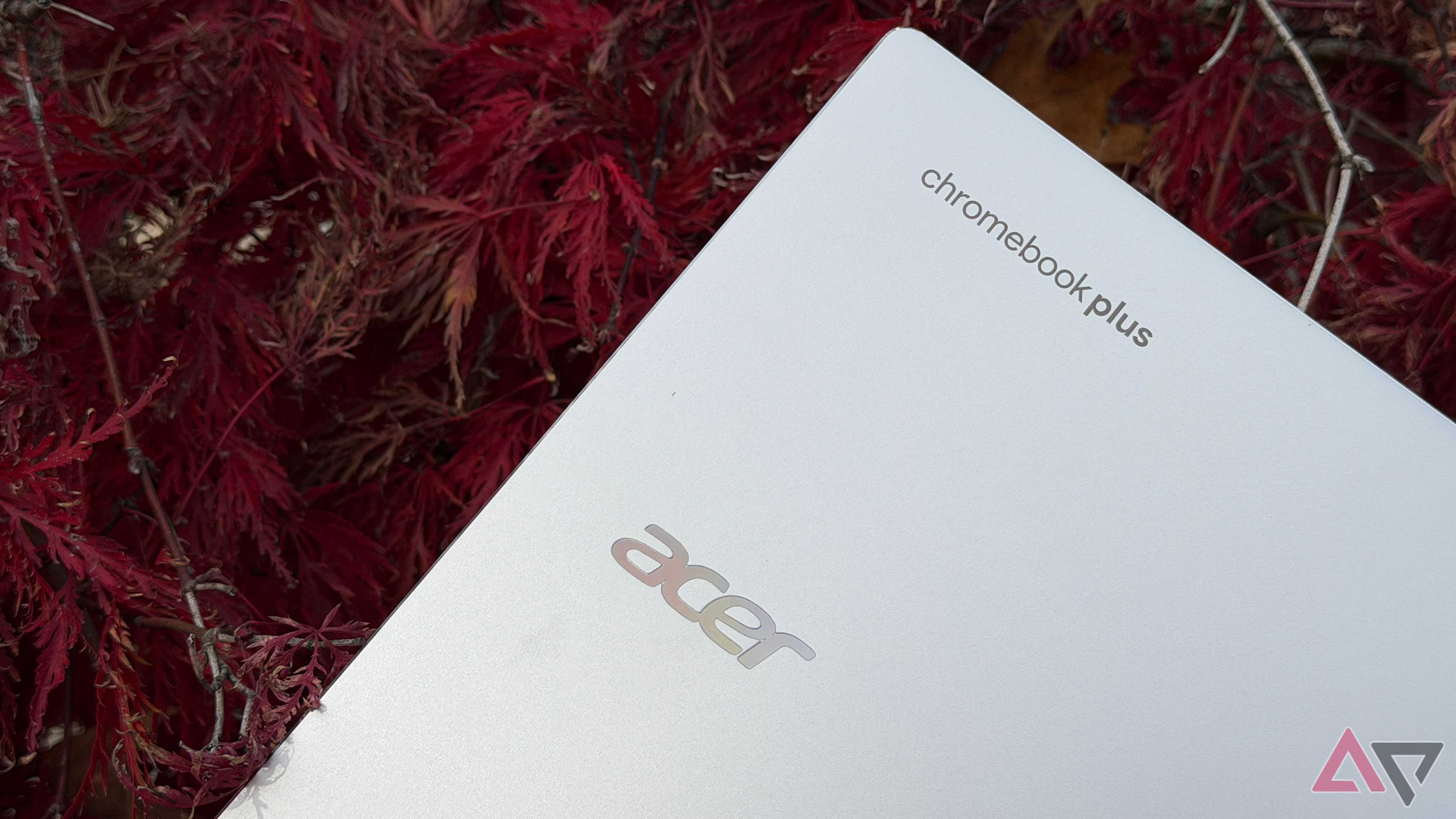 Acer Chromebook Plus Spin 514 held up next to a Japanese maple