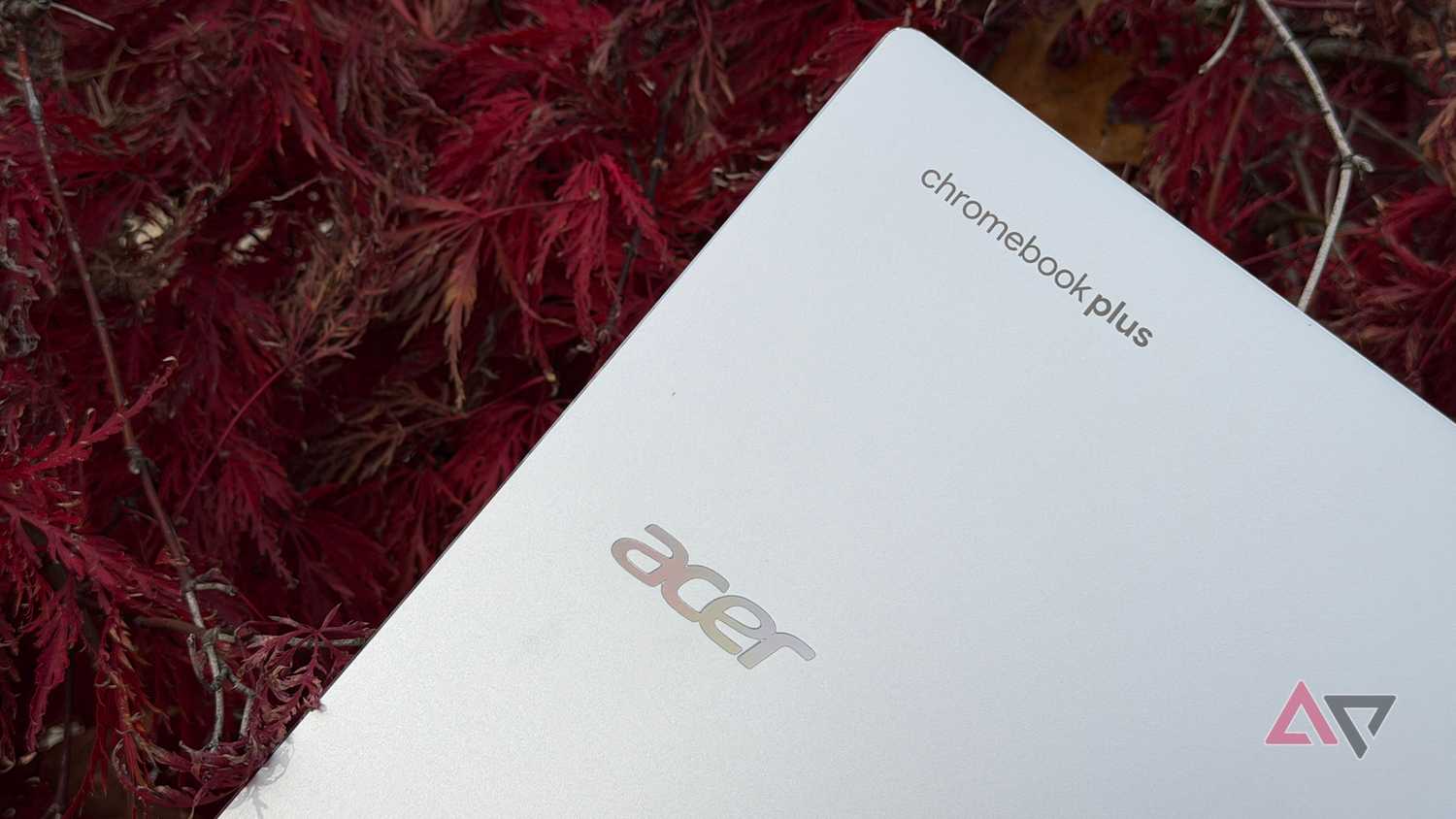 Acer Chromebook Plus Spin 514 held up next to a Japanese maple