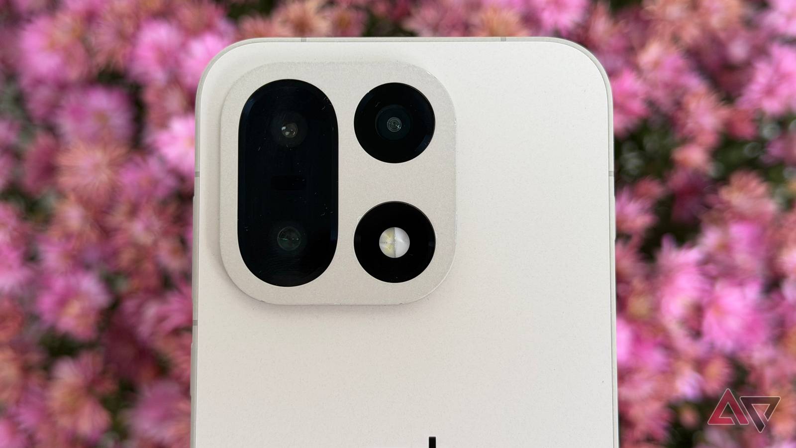 OnePlus 15 held up against pink mums