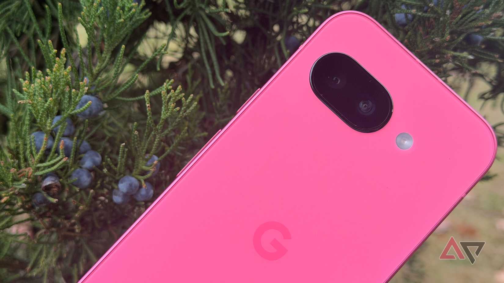 Google Pixel 9a accanto a un cespuglio sempreverde