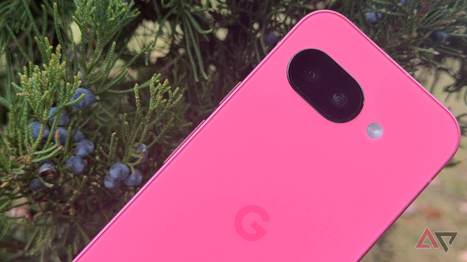 Google Pixel 9a next to an evergreen bush