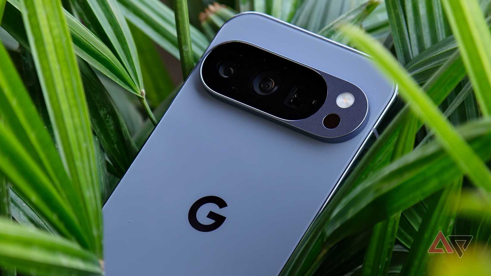 Pixel 10 Pro descansando em uma planta verde