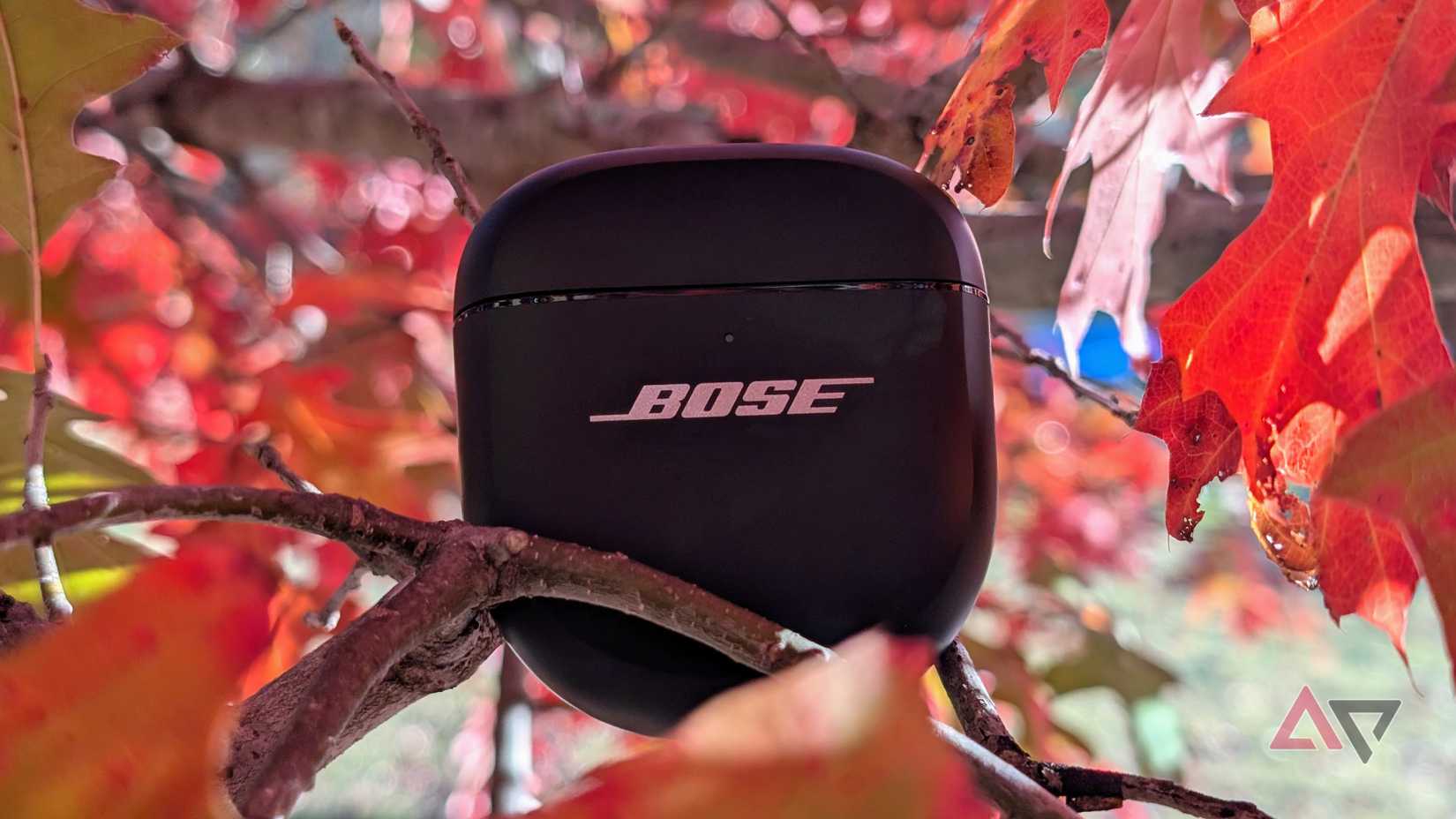 Os fones de ouvido Bose QuietComfort Ultra colocados na folhagem de outono