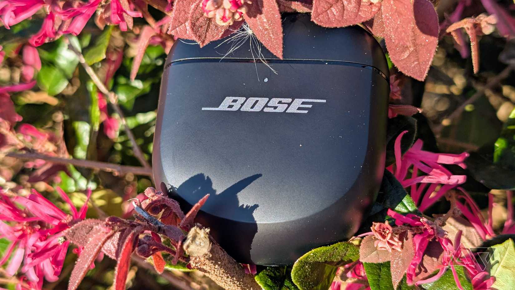 Fones de ouvido Bose QuietComfort Ultra (2ª geração) em arbusto de flores