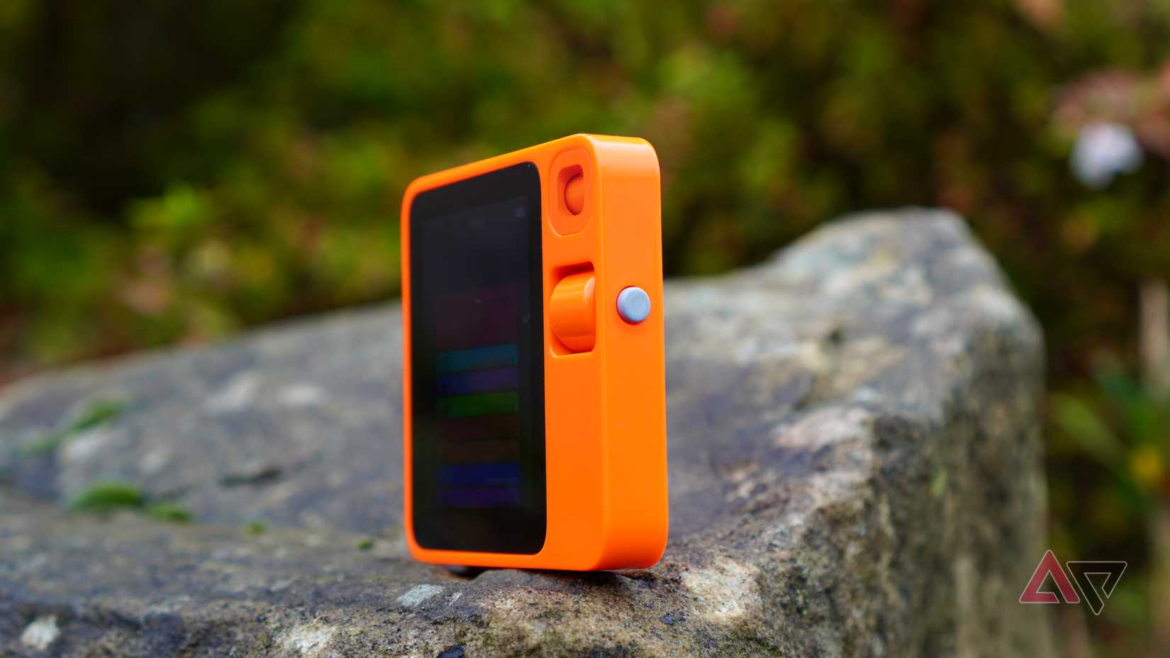 A lateral do Coelho R1