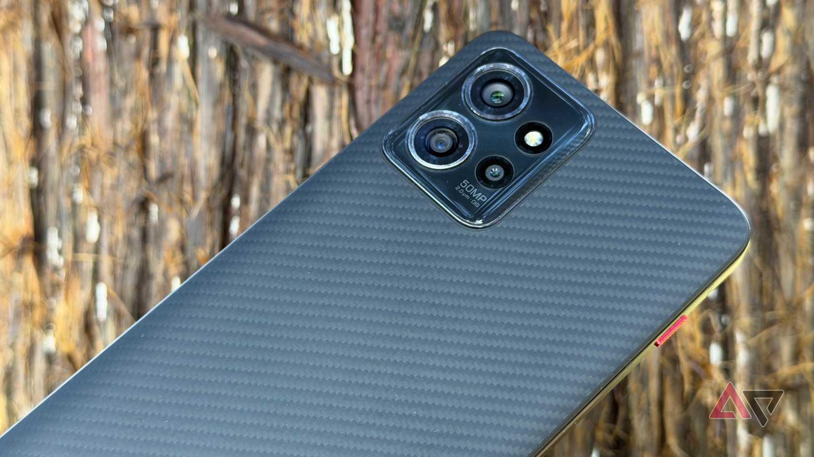 Motorola ThinkPhone ao lado de uma árvore marrom