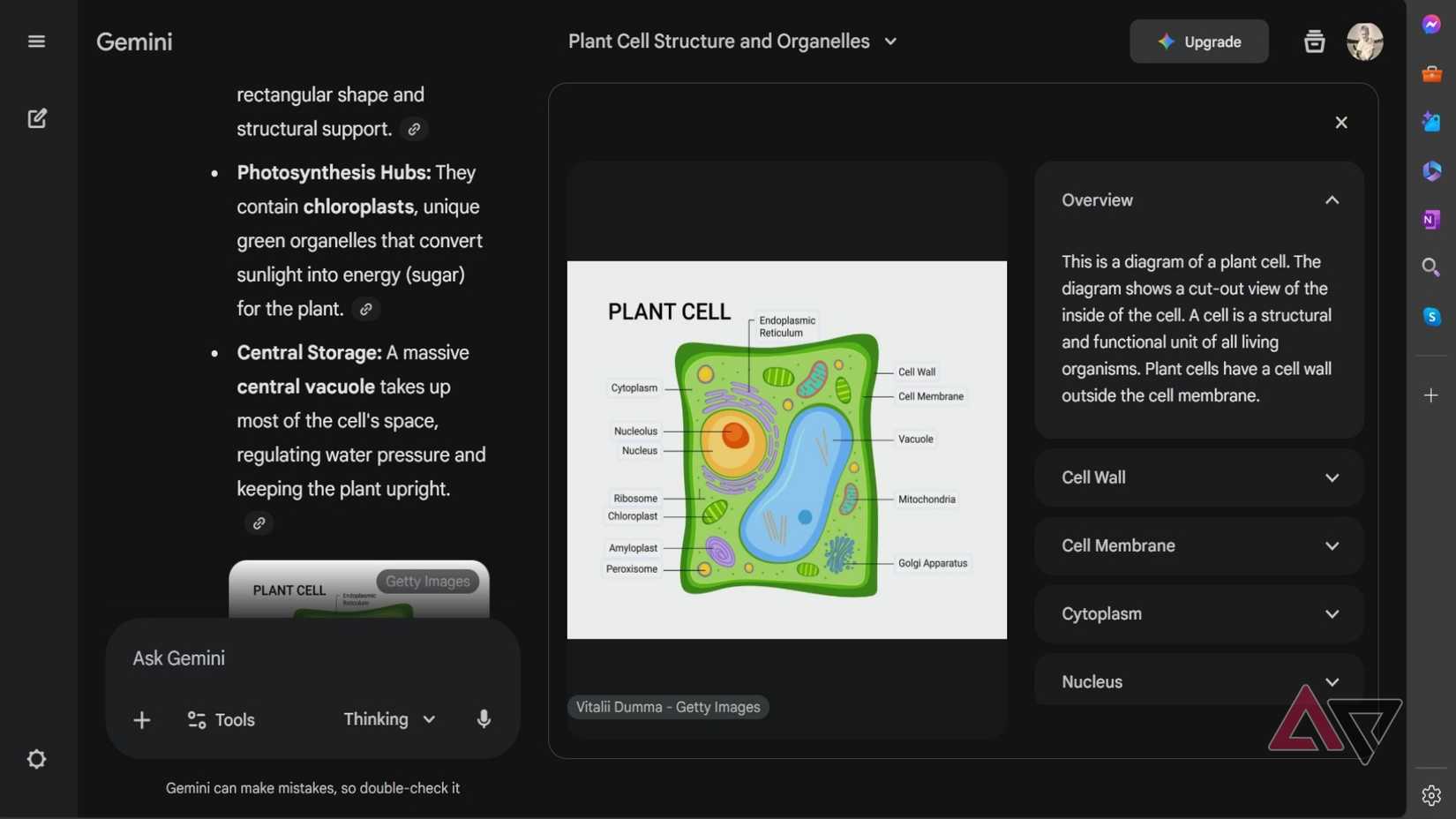 Captura de tela mostrando o Google Gemini mostrando uma imagem interativa