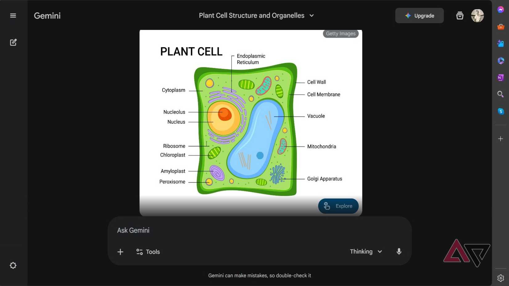 Captura de tela mostrando o Google Gemini mostrando uma imagem interativa 