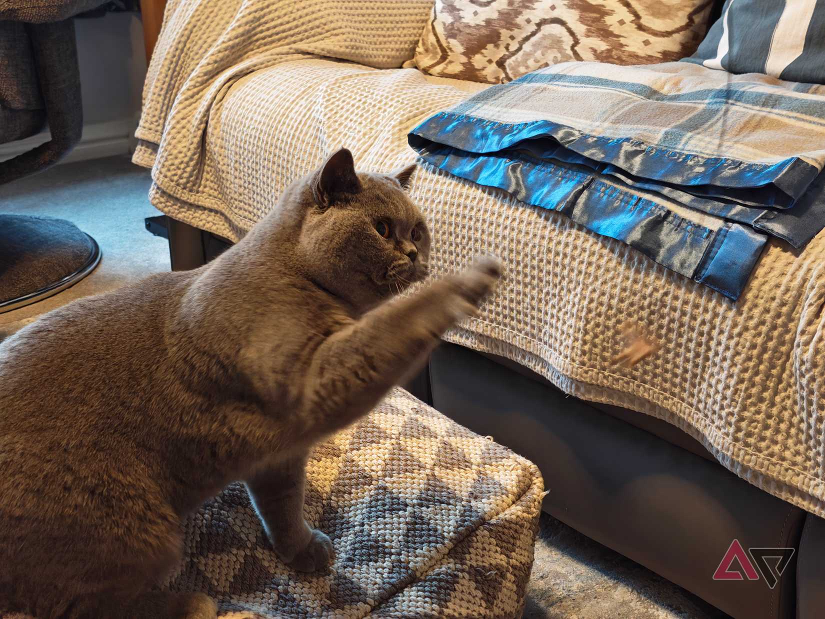 A photo taken with the Honor Magic8 Pro