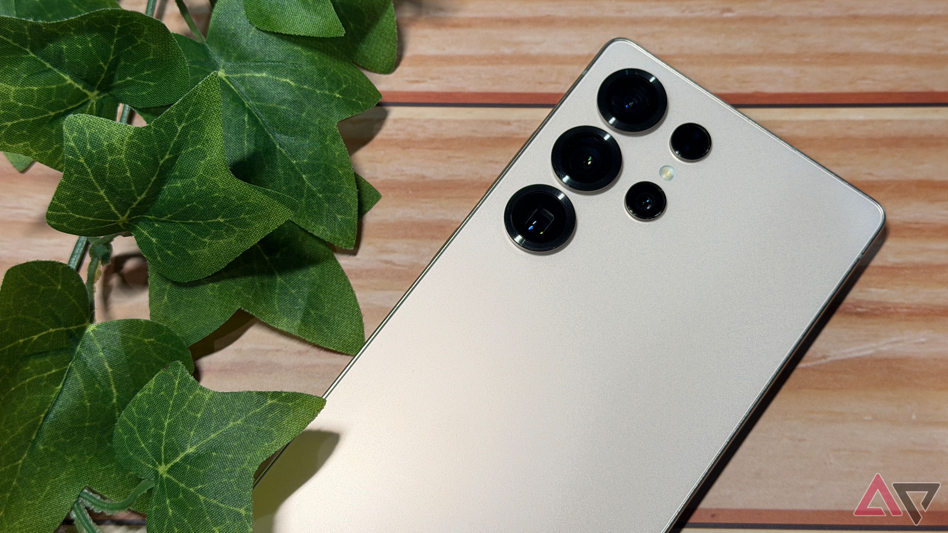 Samsung Galaxy S25 Ultra next to a green plant