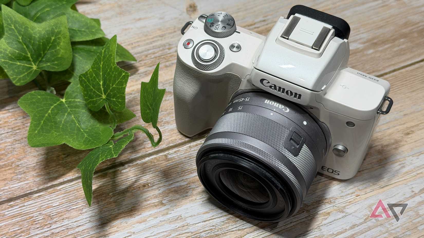 Canon M50 em branco ao lado de uma planta