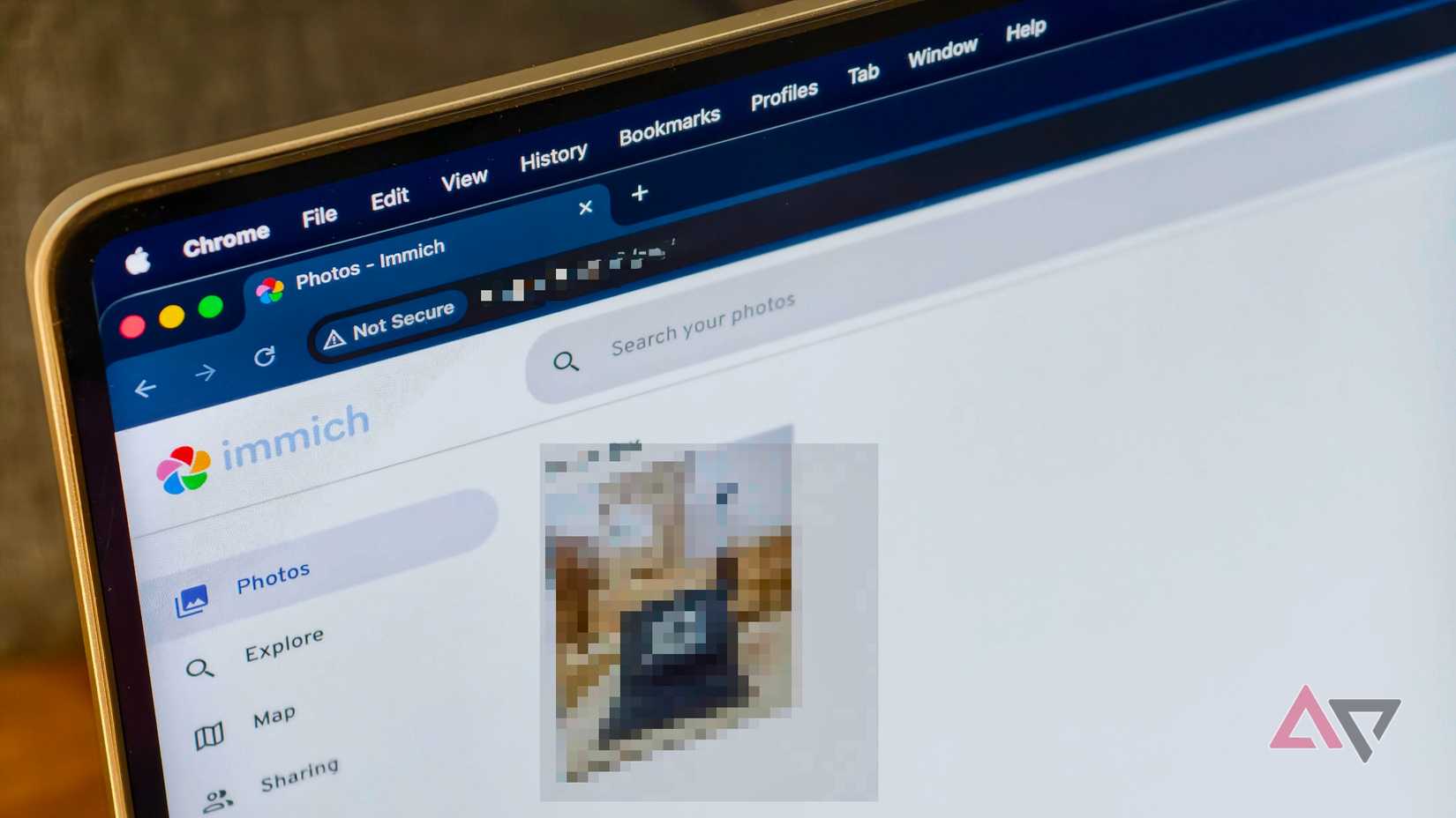 Immich na web no Google Chrome