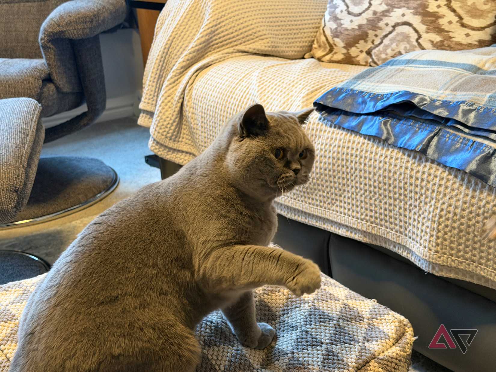 A photo taken with the Apple iPhone 17 Pro Max