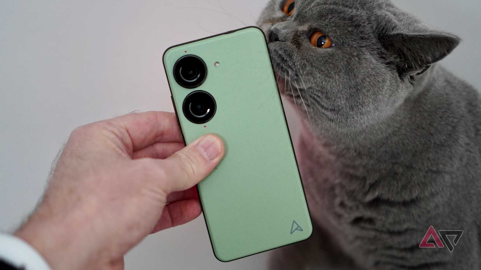The Asus Zenfone 10 with a cat