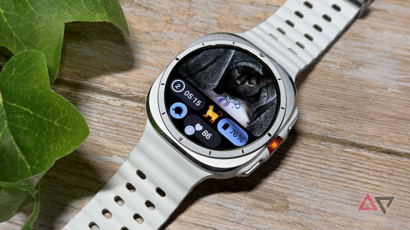 Samsung Galaxy Watch Ultra with a black cat on the home screen