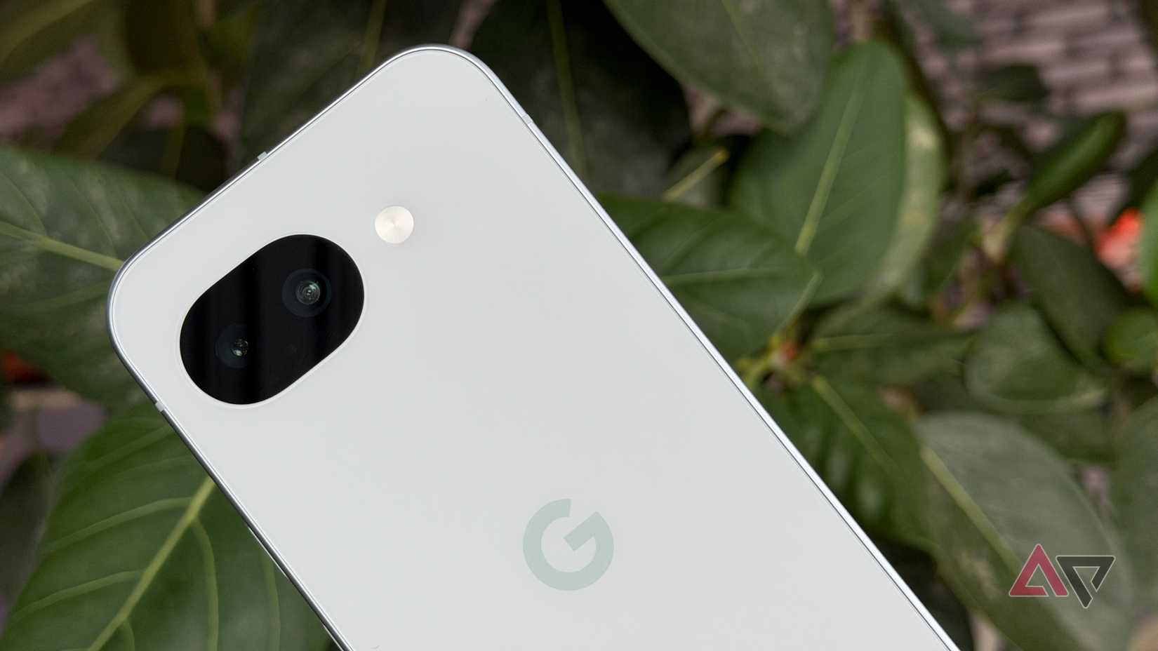 Google Pixel 10a nella nebbia appoggiato a una pianta
