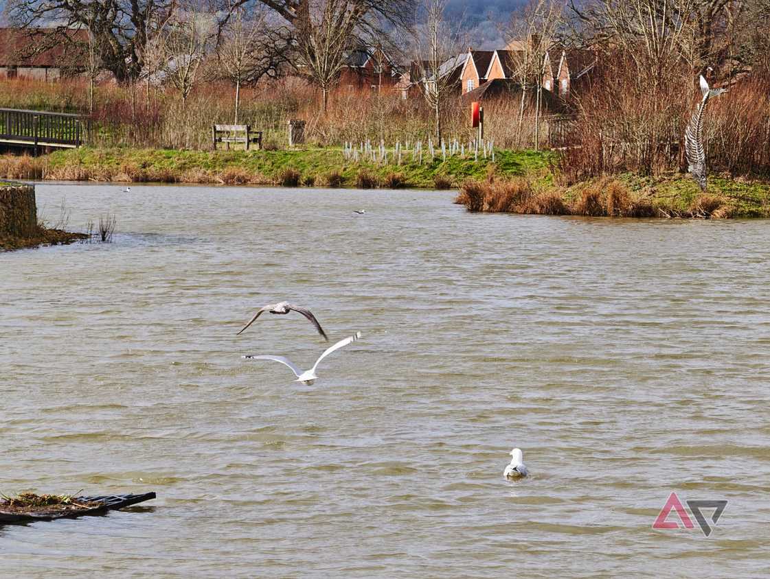 A photo taken with the Xiaomi 17 Ultra