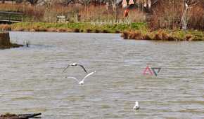 A photo taken with the Xiaomi 17 Ultra