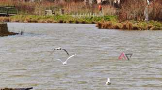 A photo taken with the Xiaomi 17 Ultra