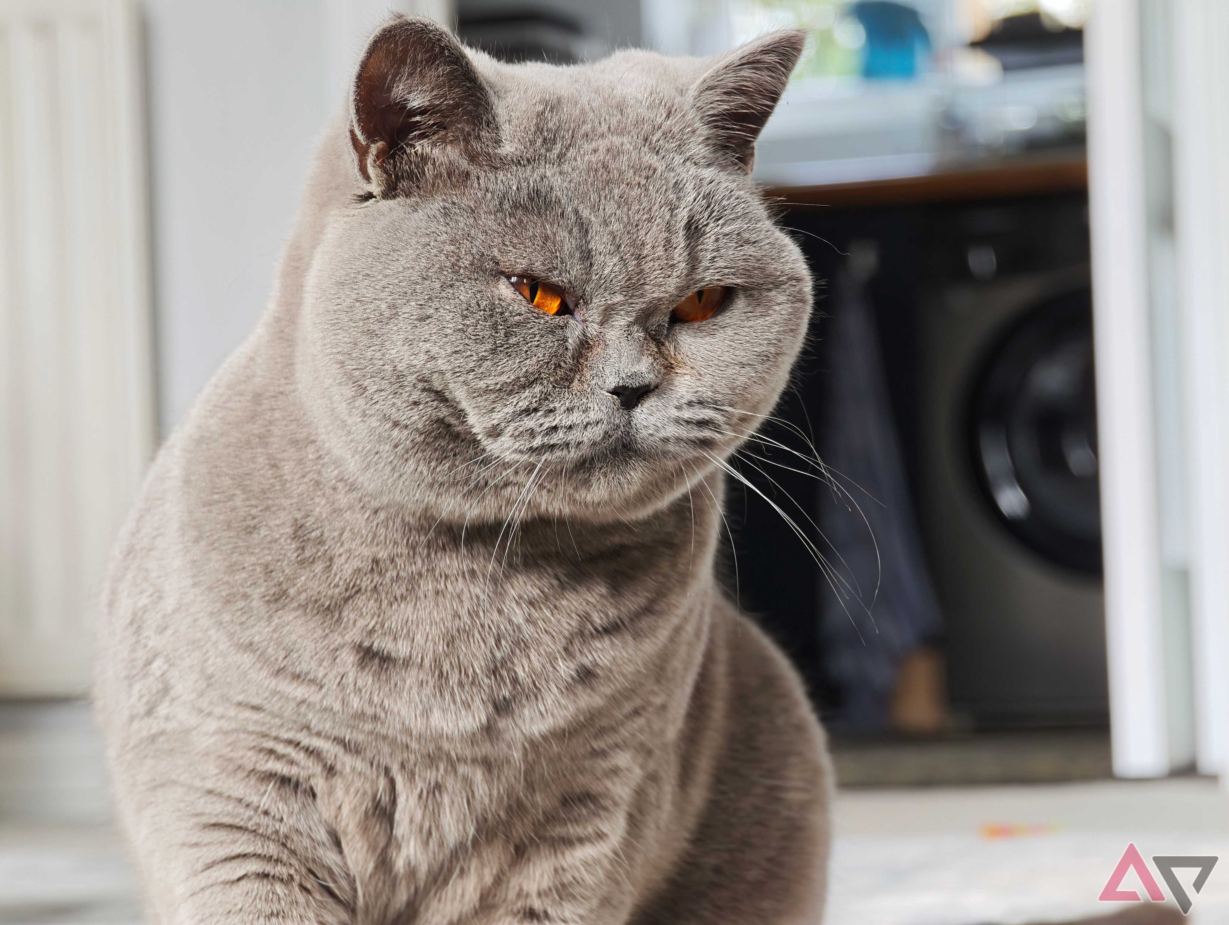 A photo taken with the Xiaomi 17 Ultra