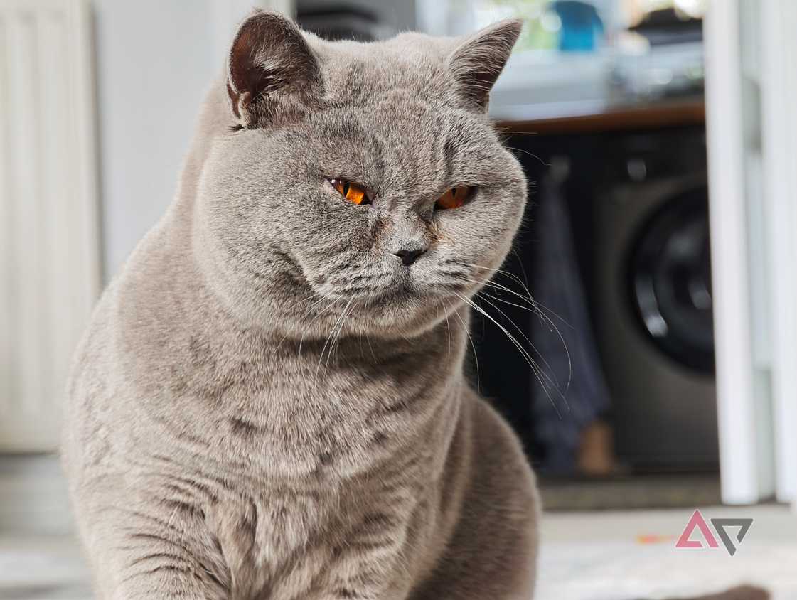 A photo taken with the Xiaomi 17 Ultra