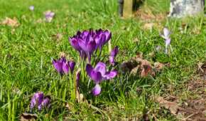 A photo taken with the Xiaomi 17 Ultra