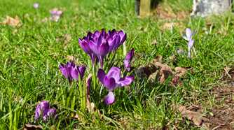 A photo taken with the Xiaomi 17 Ultra