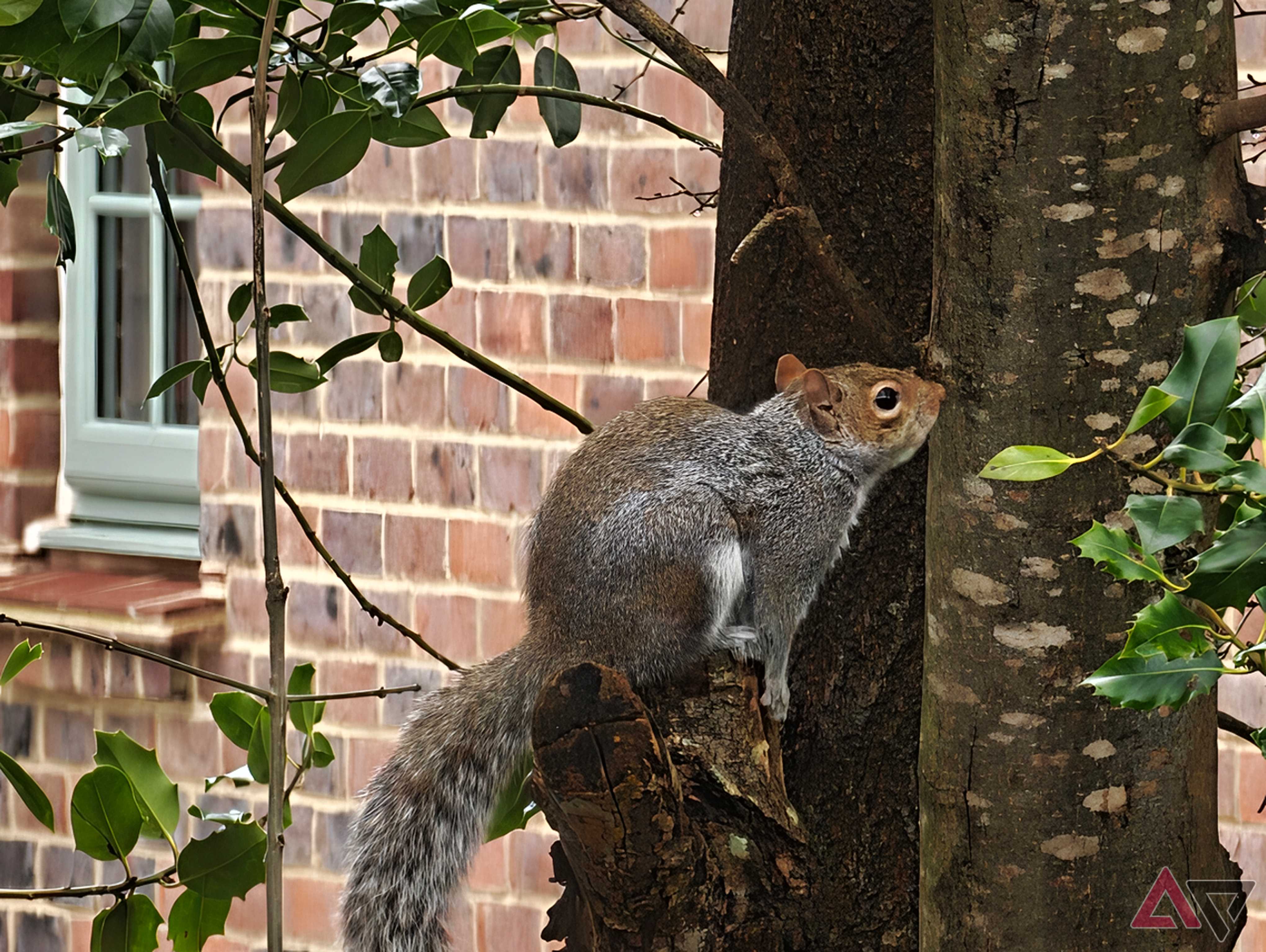 A photo taken with the Xiaomi 17 Ultra