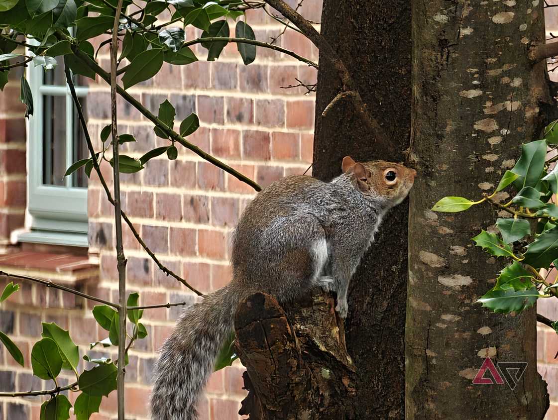 A photo taken with the Xiaomi 17 Ultra