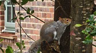 A photo taken with the Xiaomi 17 Ultra