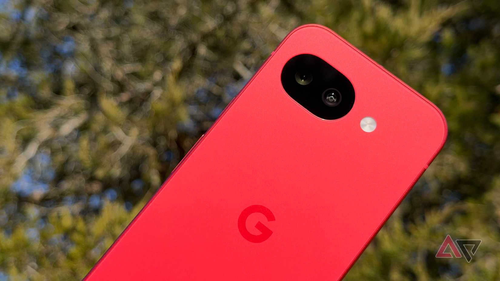 Google Pixel 10a encostado em uma árvore verde