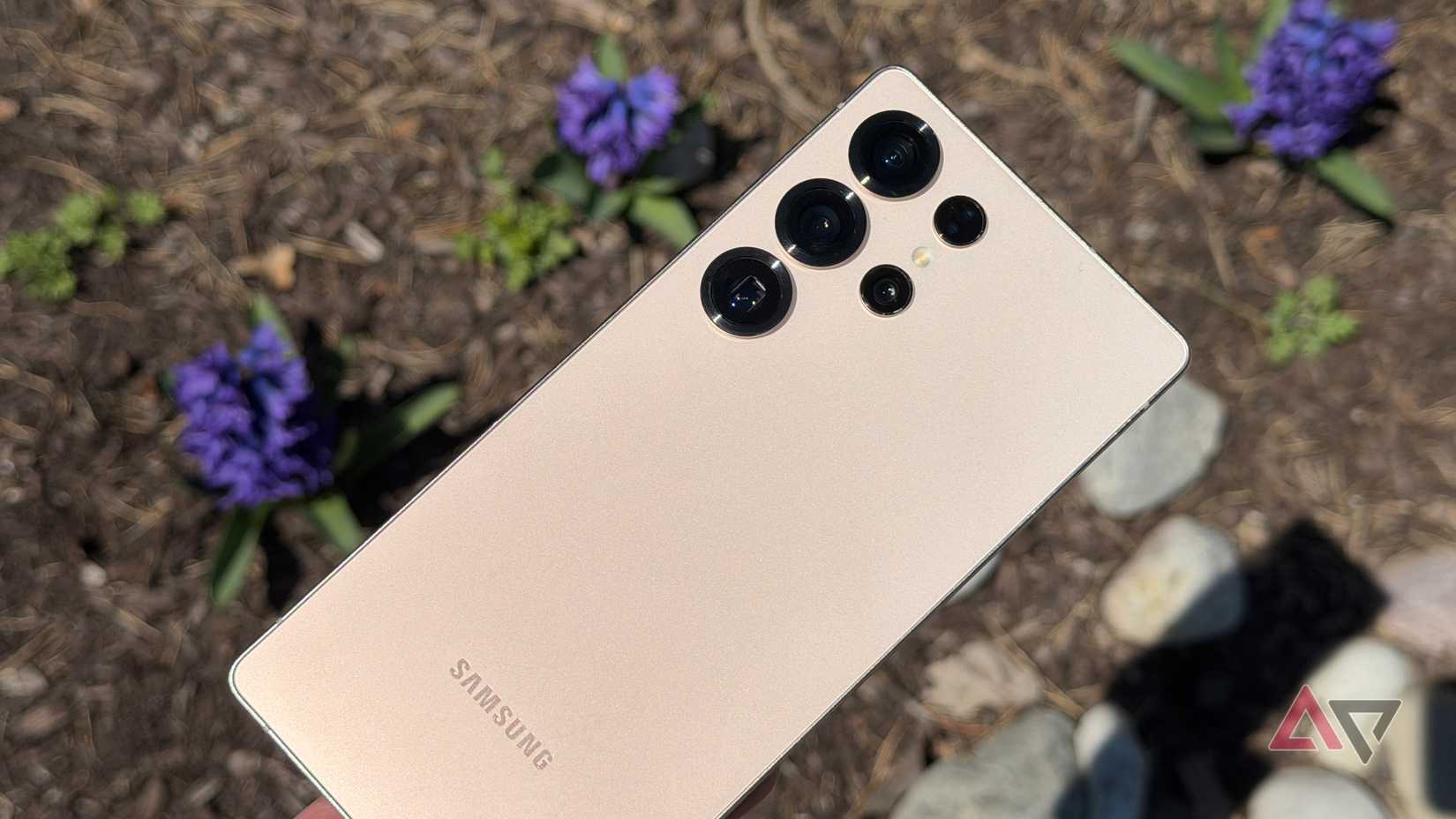 Samsung Galaxy S25 Ultra up against purple flowers