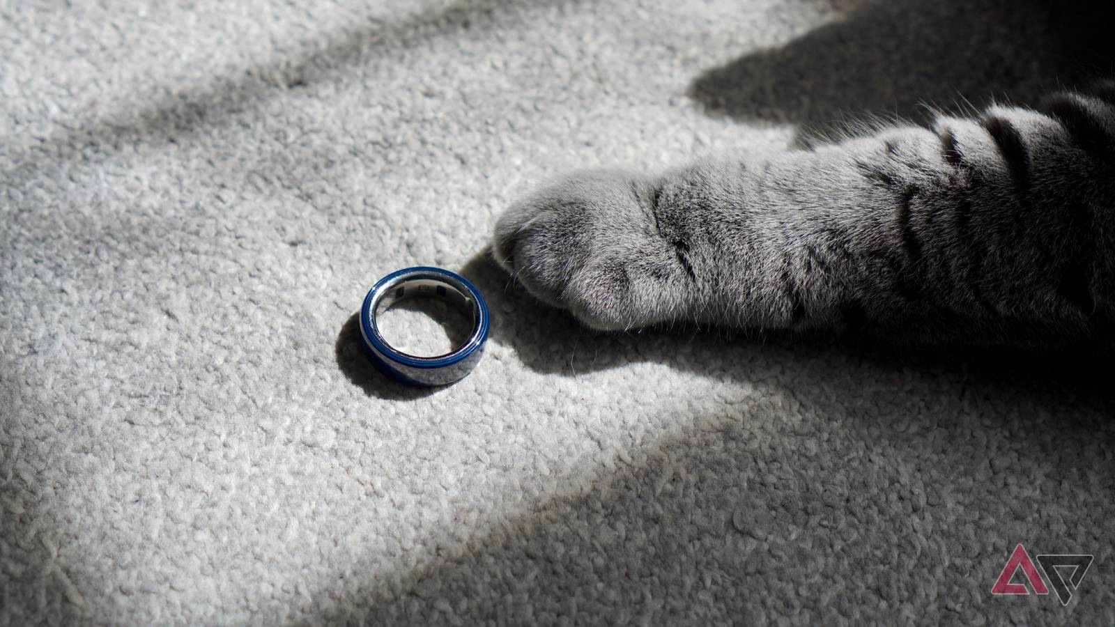Oura Ring 4 Ceramic 6-month check-in: why I still love it, plus new features added