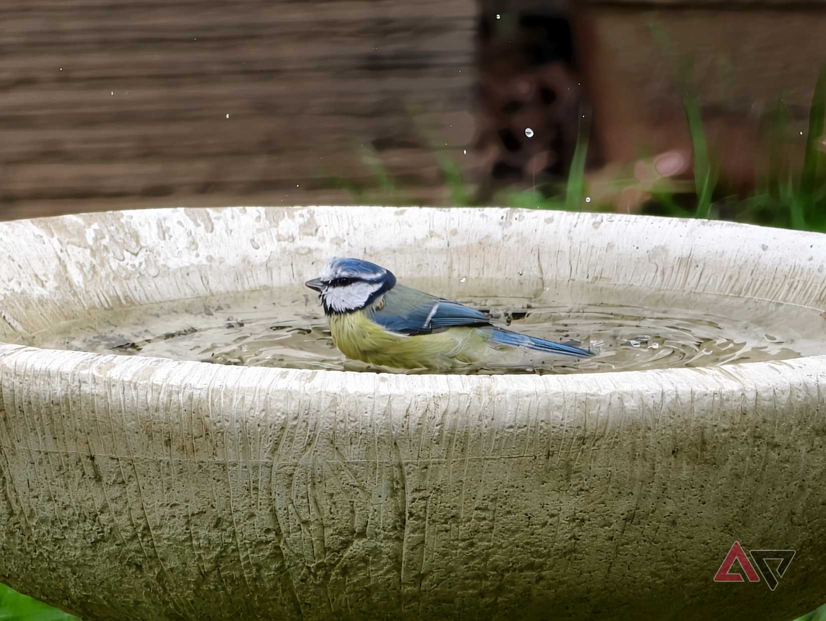 A photo taken with the Vivo X300 Ultra