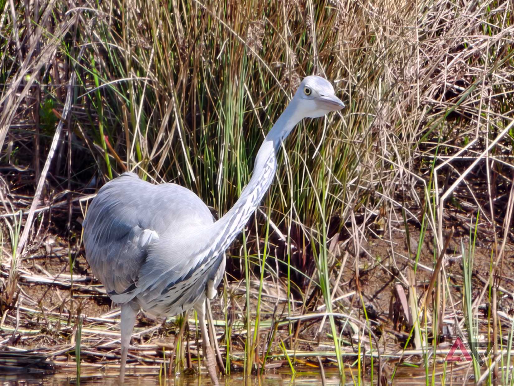 A photo taken with the Vivo X300 Ultra