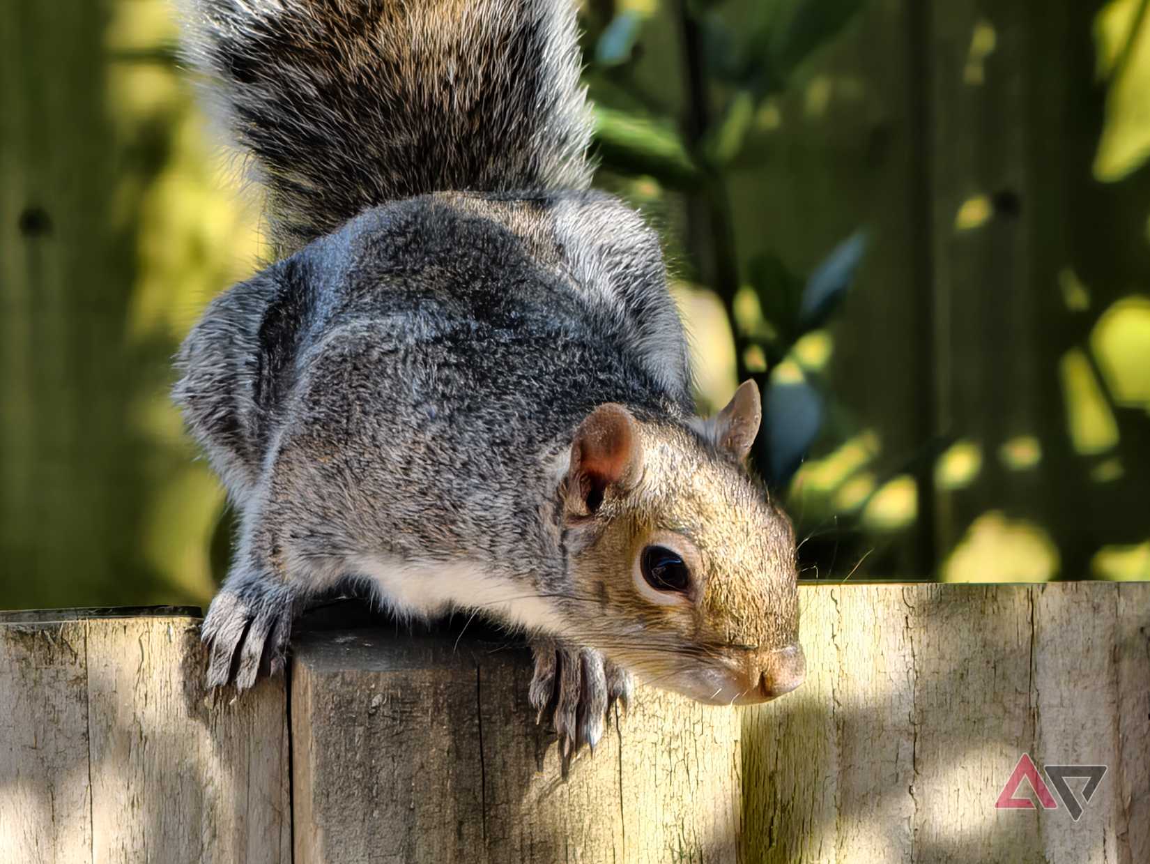 A photo taken with the Vivo X300 Ultra