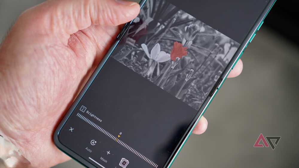 Post image 6
