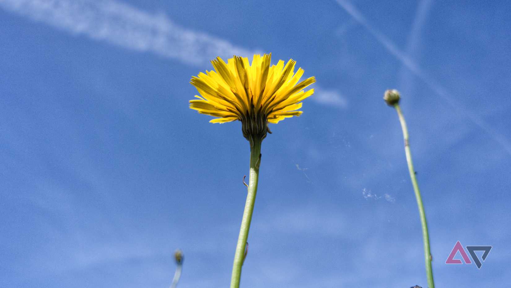 Uma foto tirada com o aplicativo VWFNDR e editada no Snapseed 4.0