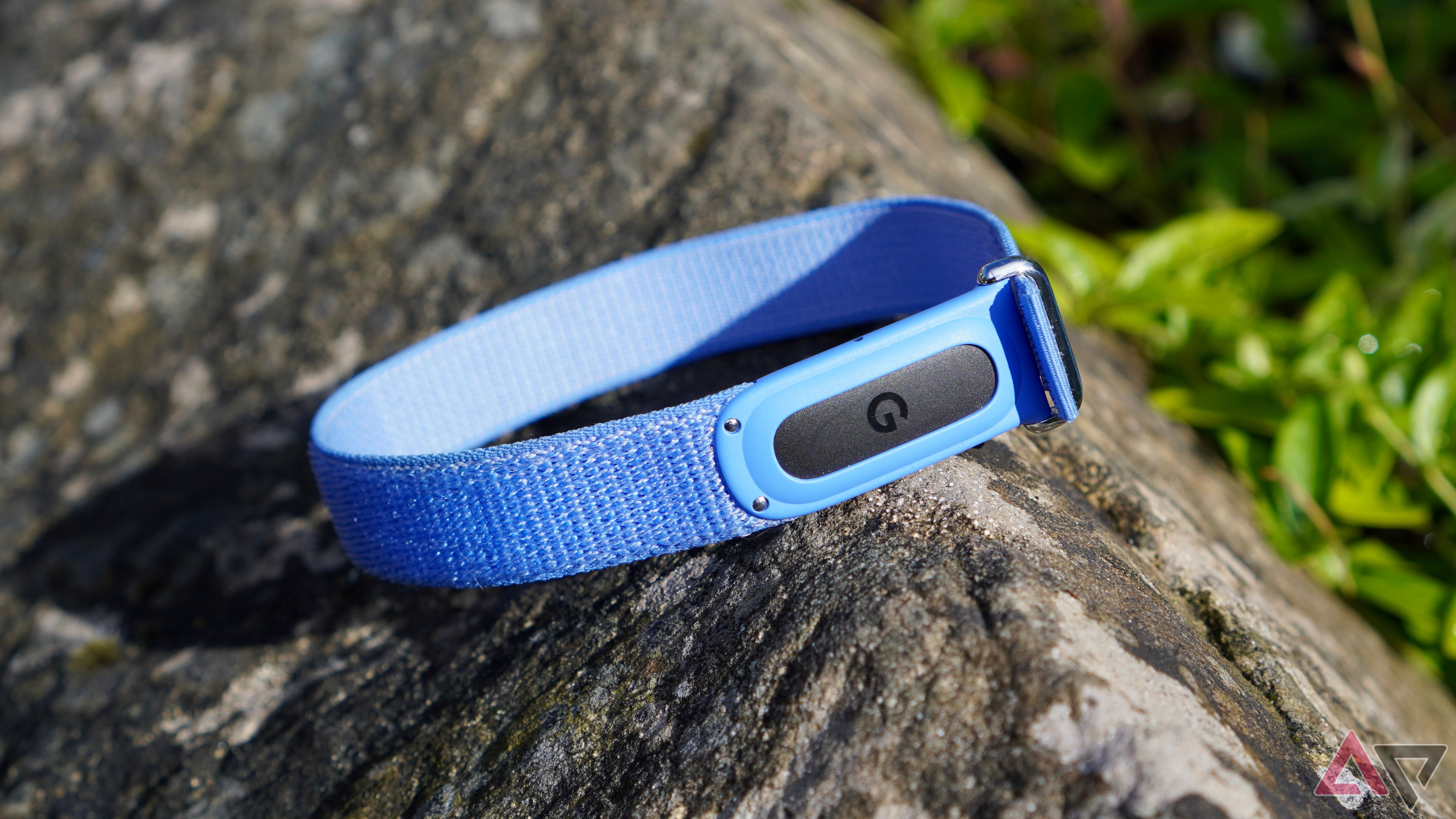 Fitbit Air gains insulin resistance trends