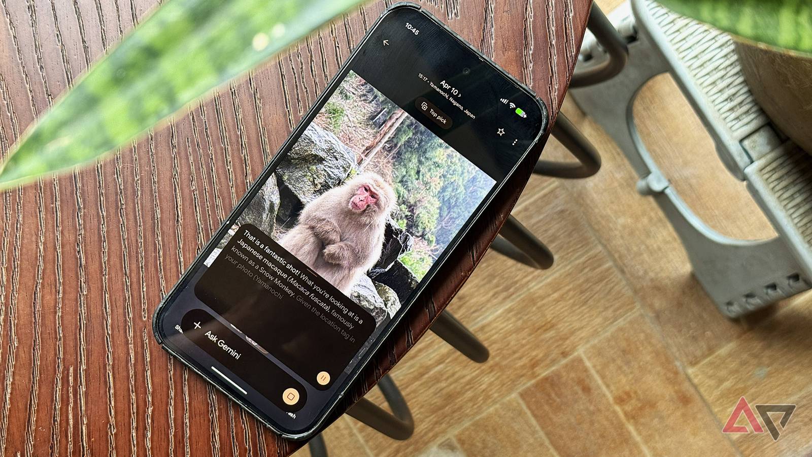 Gemini Outperforms Google Lens in Visual Search