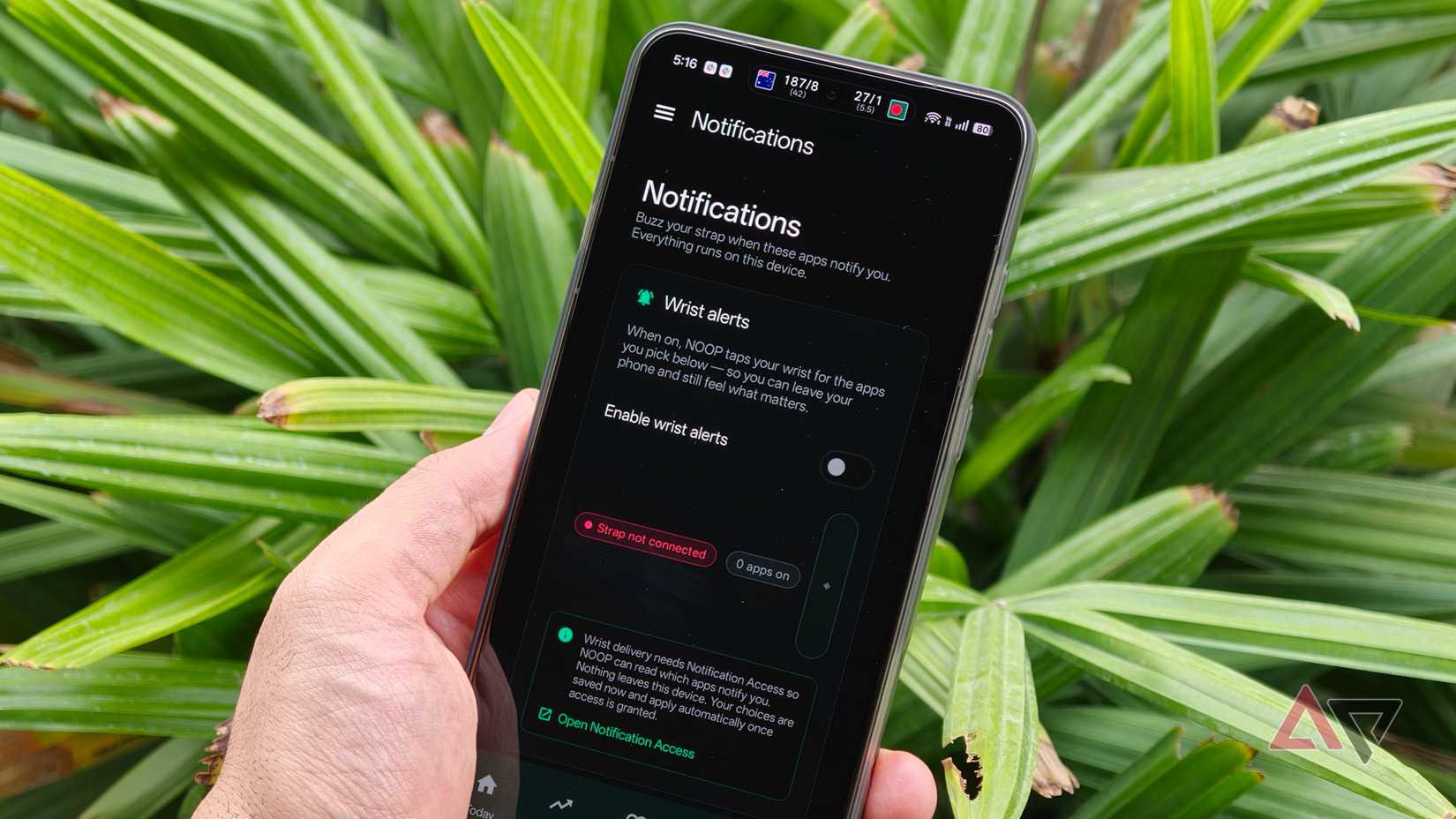 Configurações de notificação NOOP para alertas de pulso Whoop