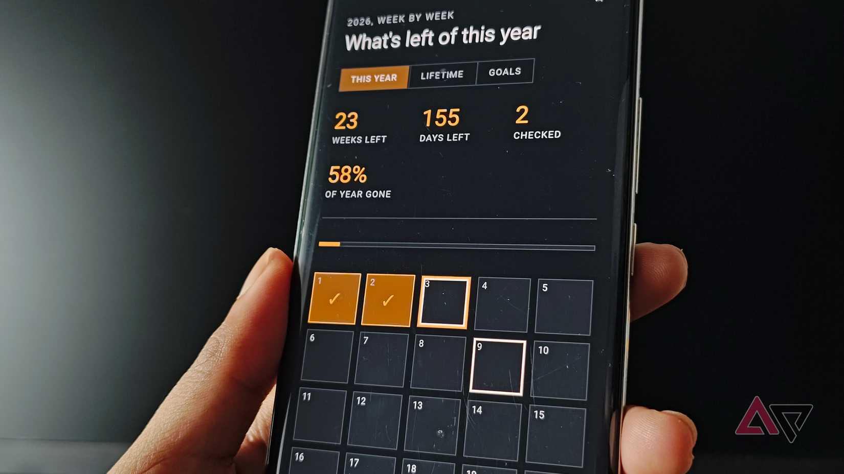 Digital Life Calendar showing the This Year view with highlighted goals.